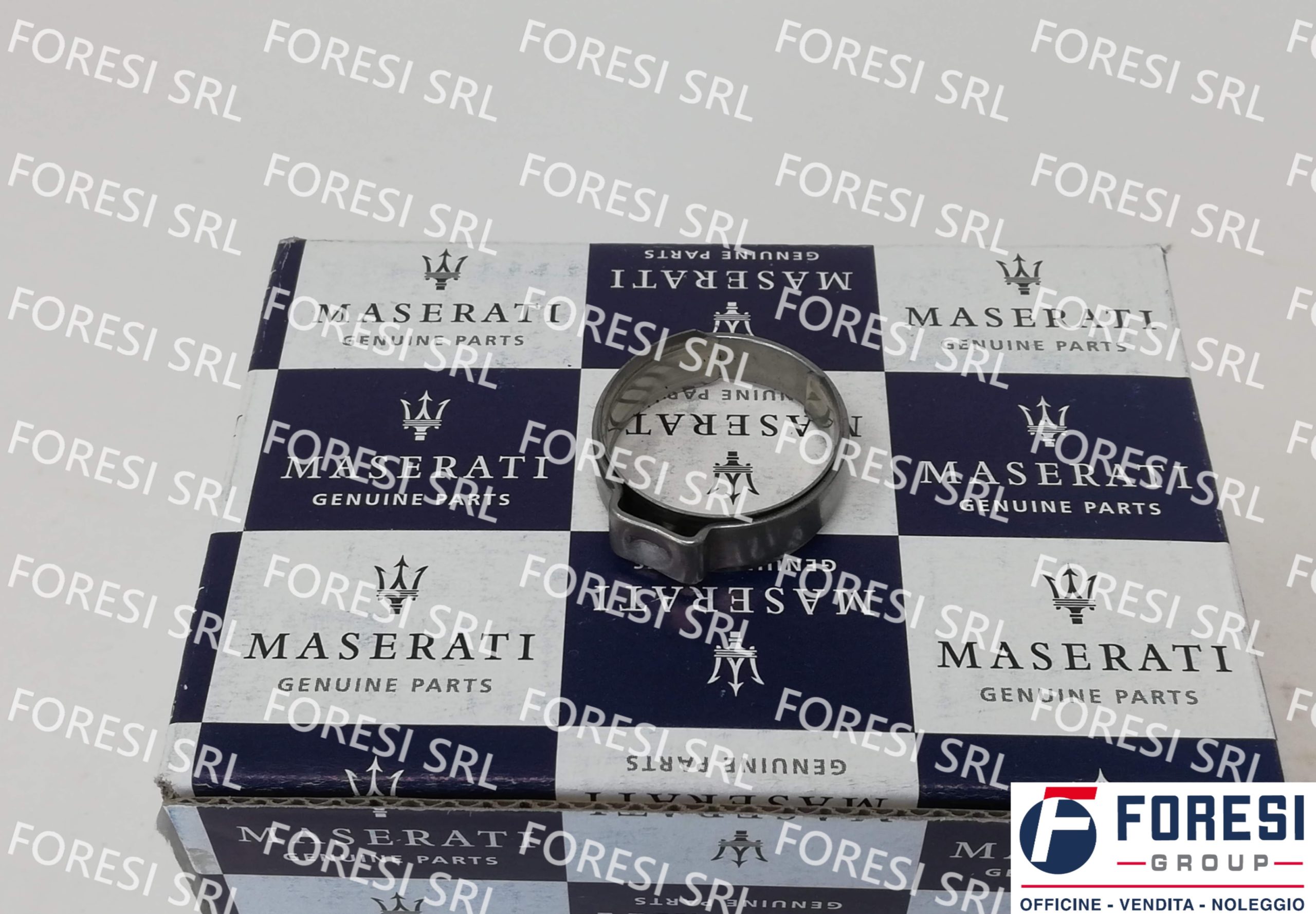 FASCETTA 178053