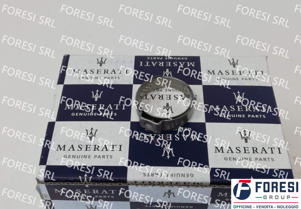 FASCETTA 178053