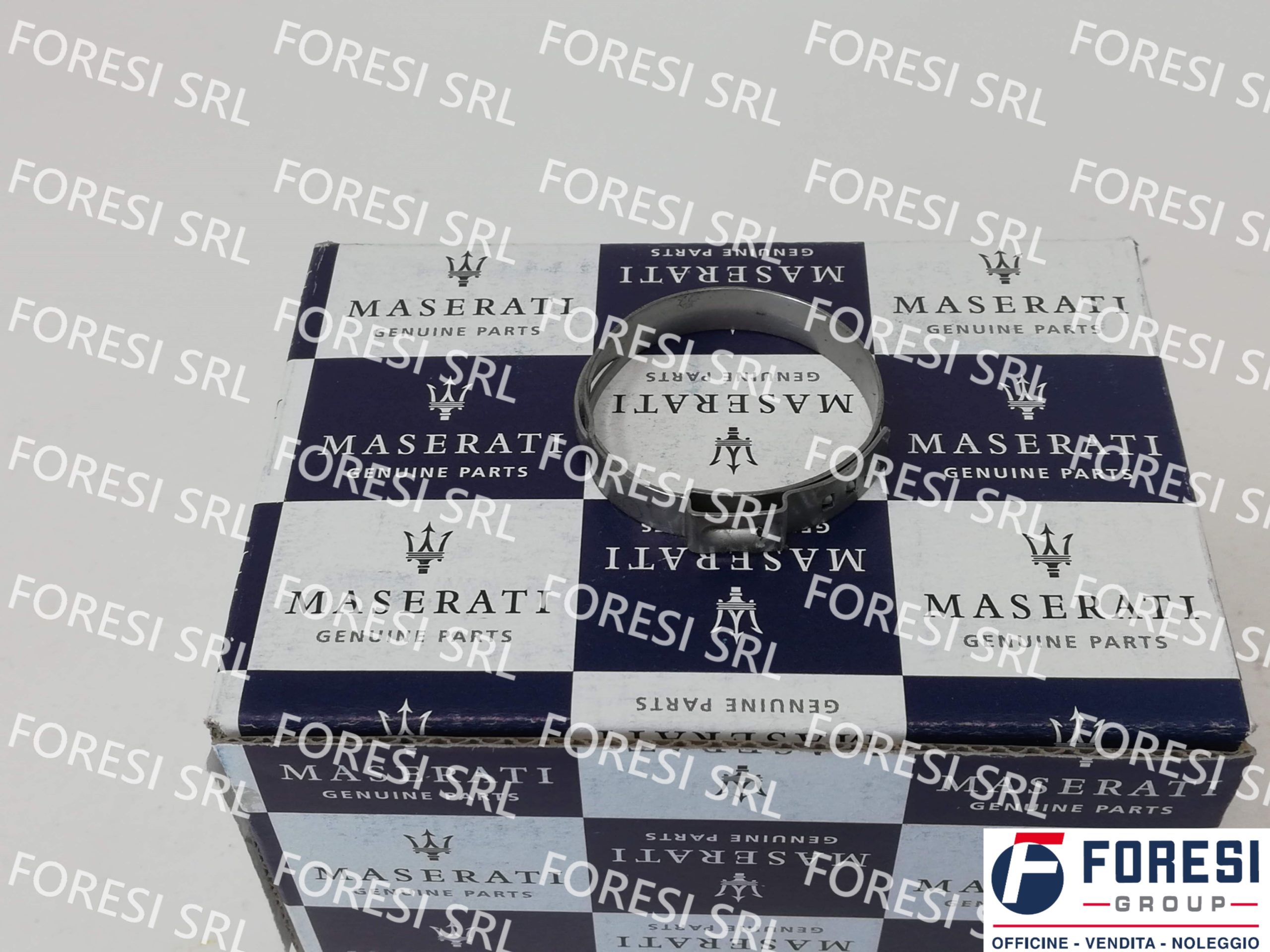 FASCETTA 224271