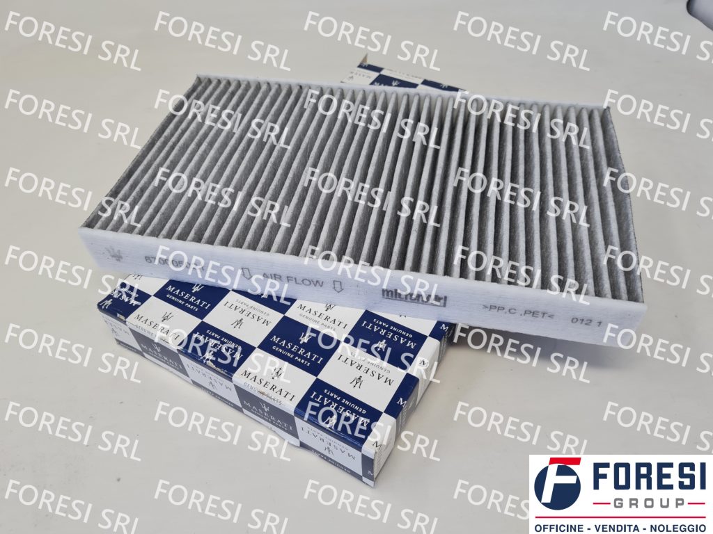 FILTRO ANTI-POLLINE 670005021