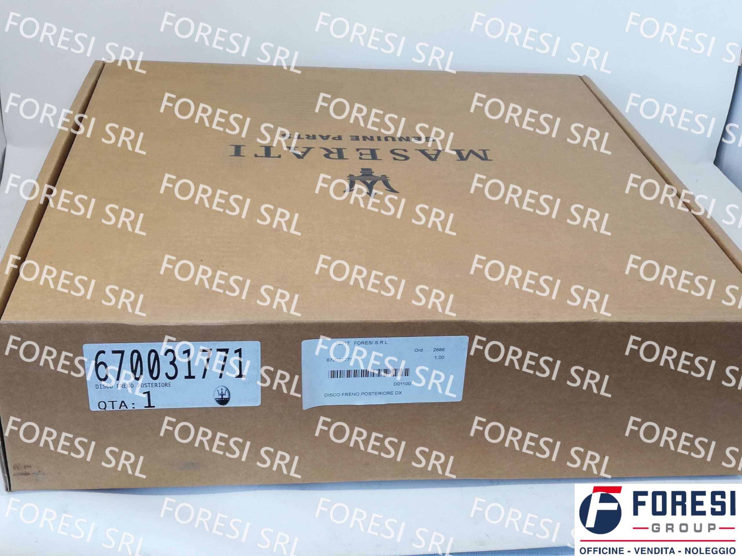 DISCO FRENO POSTERIORE DX 670031771