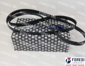 CINGHIA ACCESSORI 46328348