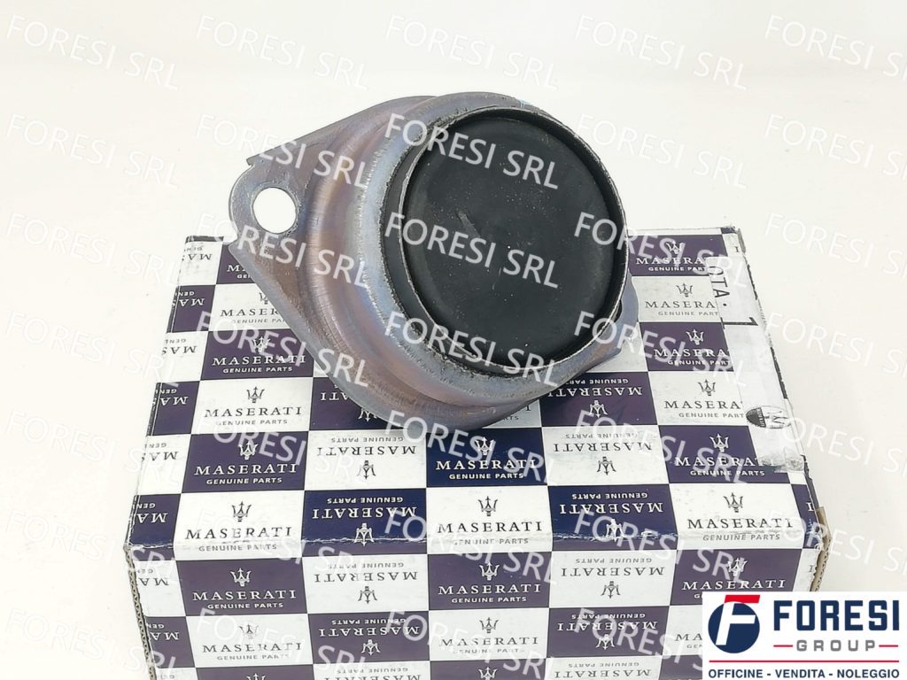 TAMPONE ELASTICO SOST. CAMBIO 253752